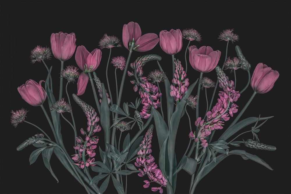Stemmige roze bloemen door Lydia Jacobs