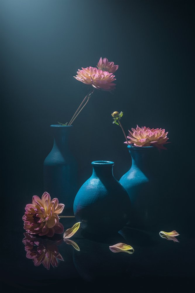 Moody Pink-dahlia’s door Lydia Jacobs