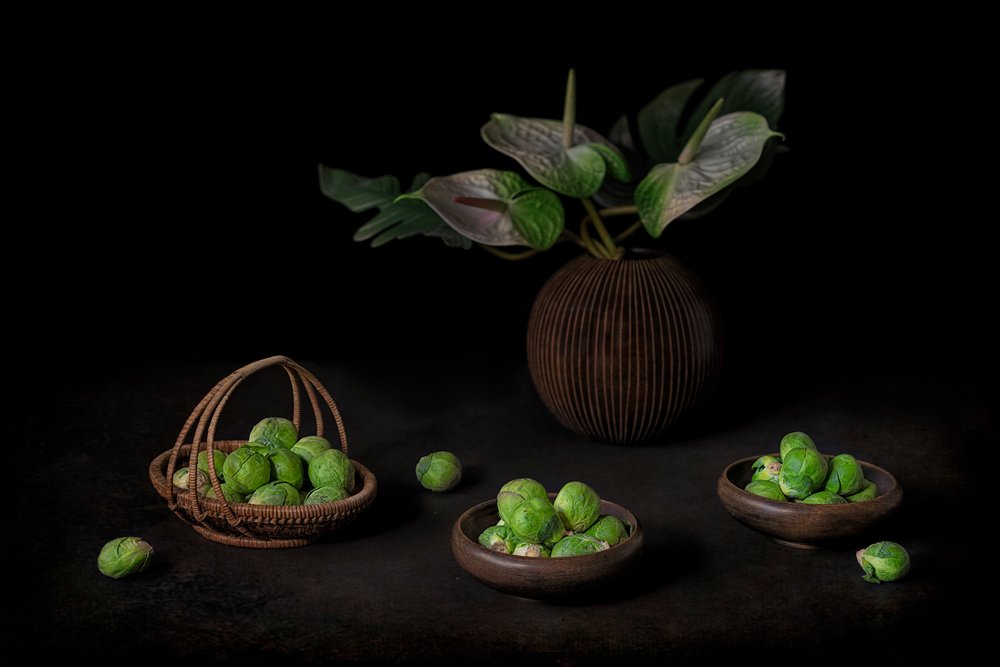 Moody Sprouts – Stilleven door Lydia Jacobs
