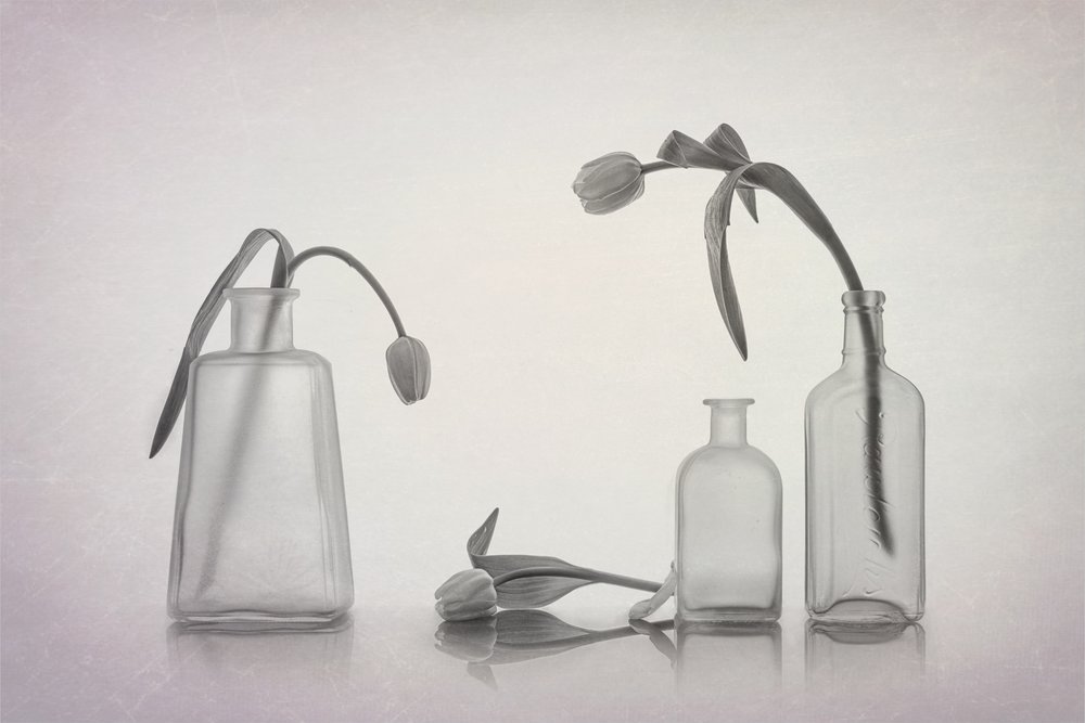 Rustig tulpenstilleven door Lydia Jacobs