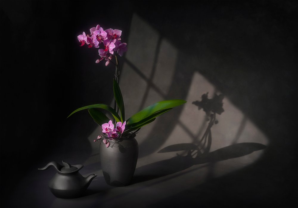 Schaduwrijke orchideeënelegantie door Lydia Jacobs