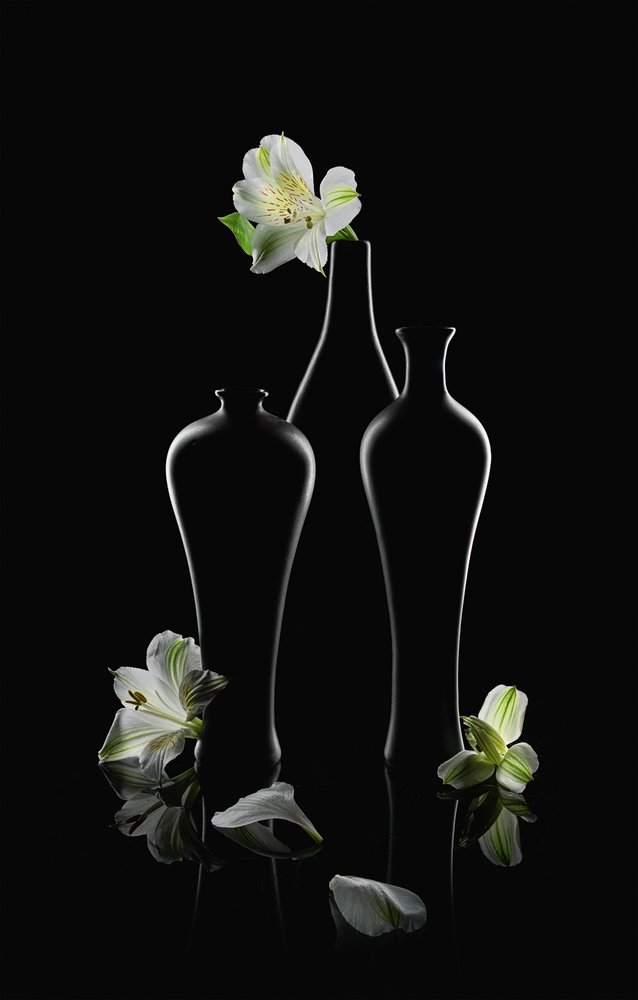 Witte bloemen, donkere vazen door Lydia Jacobs