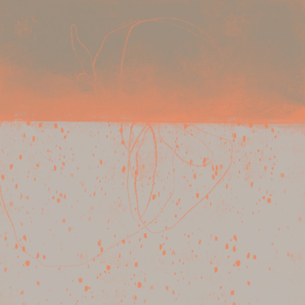 Samenvatting: Orange Horizon door MANSI SAXENA
