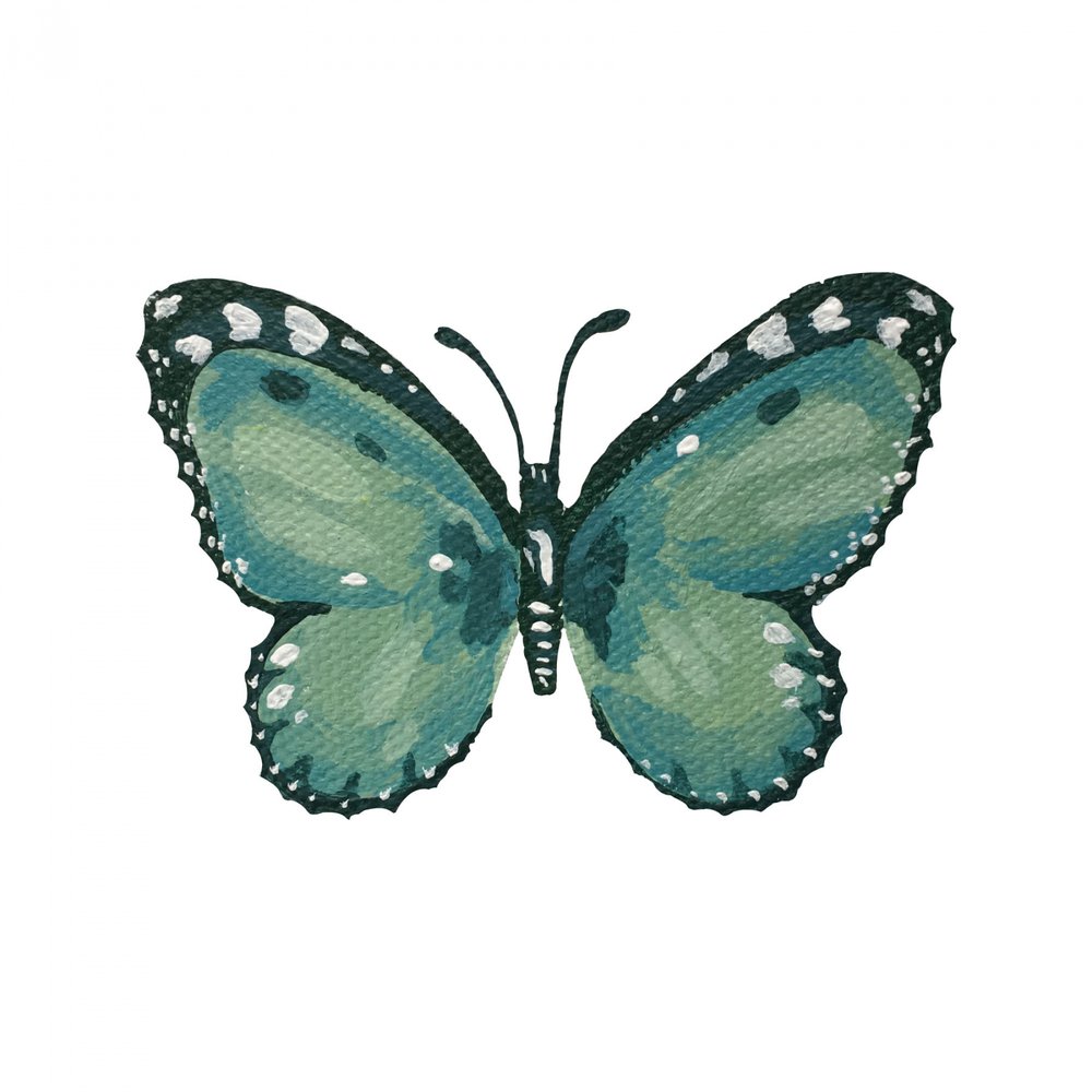 Elegante blauwgroene vlinder door Madison Phipps