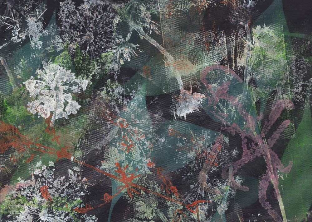 Abstract: Groene paardenbloemen door Maira Ribena