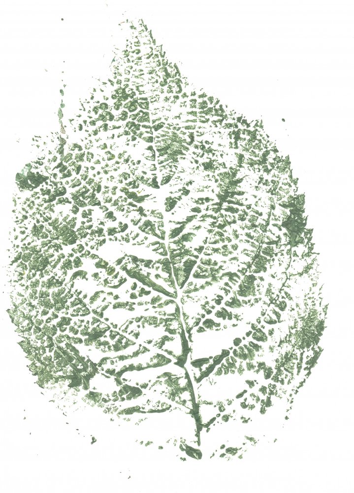 Botanische bladprint door Maira Ribena