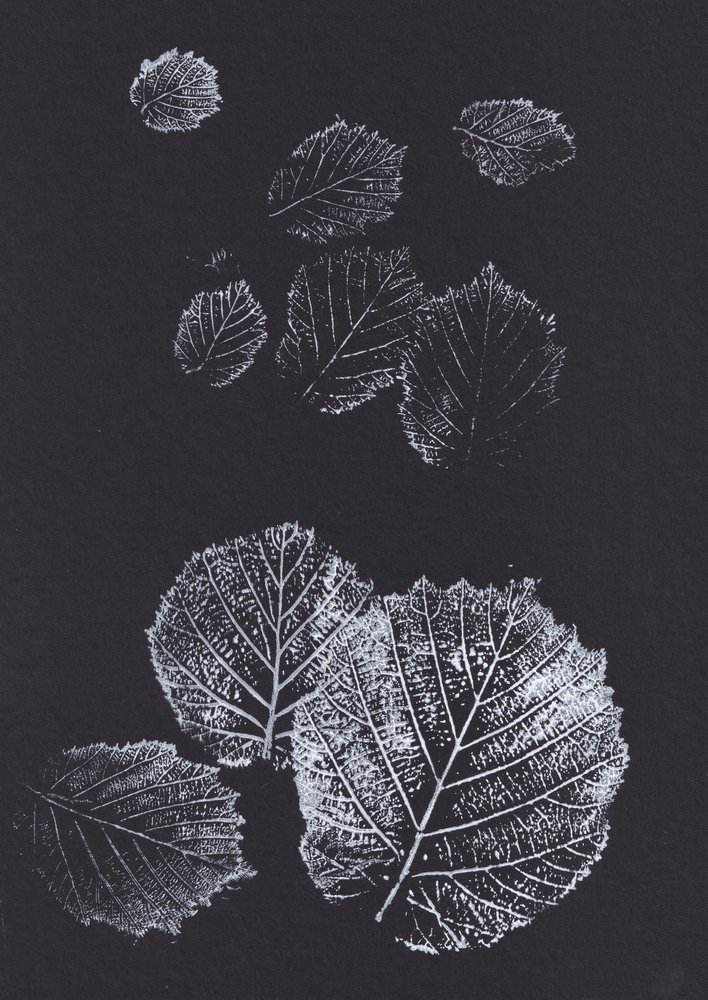 Botanische bladprints door Maira Ribena