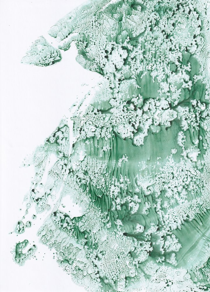  door Maira Ribena