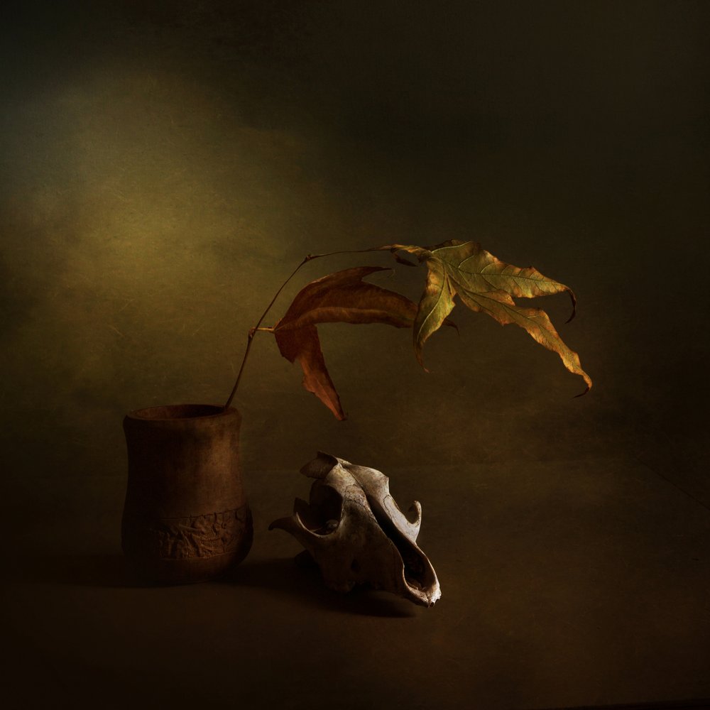 Donker herfststilleven door Margaret Halaby