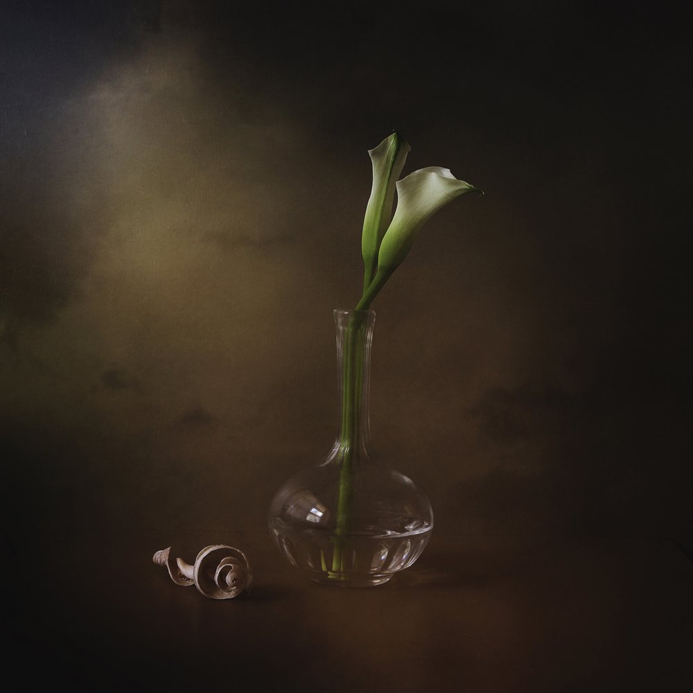Elegante calla