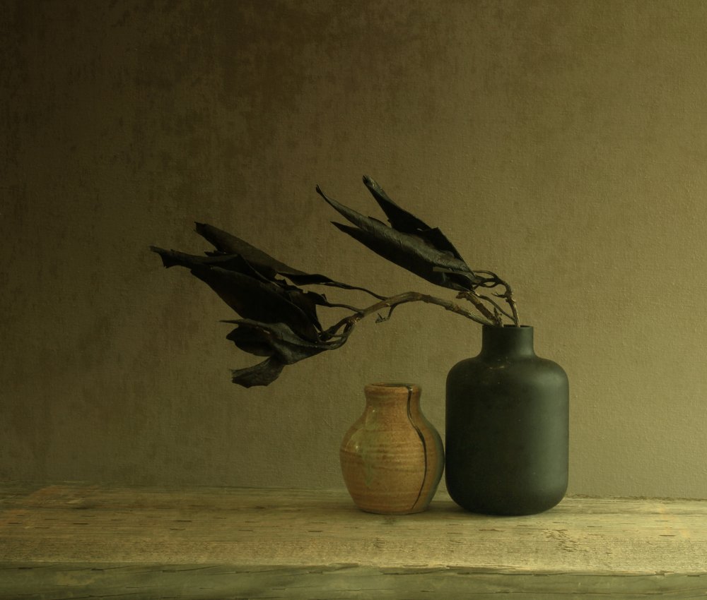 Minimalistisch stilleven met bladeren door Margaret Halaby