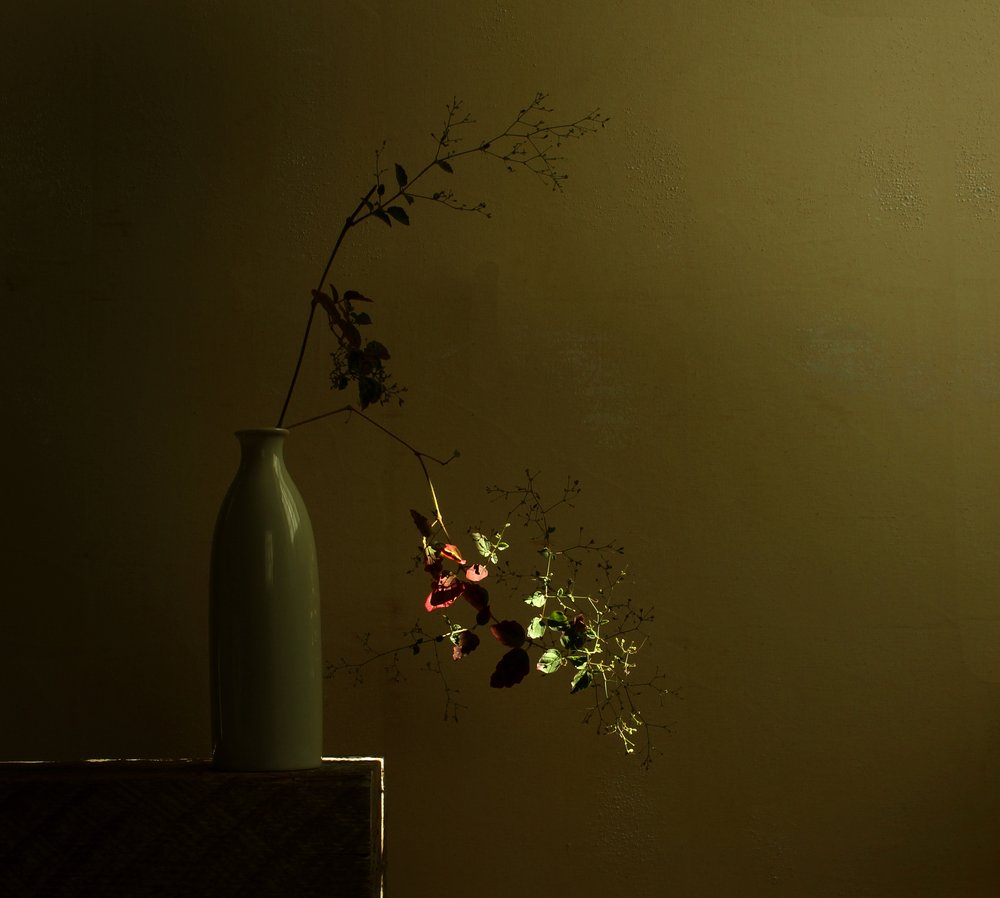 Stilleven met botanische motieven van Moody door Margaret Halaby