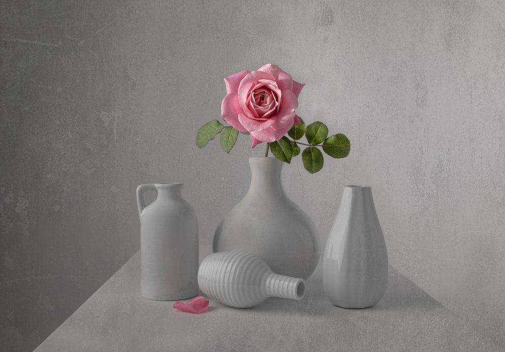 Stilleven met delicate roze roos door Margareth Perfoncio