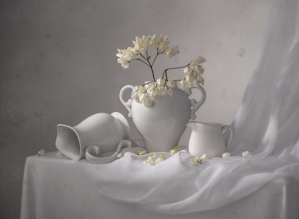 Elegant wit stilleven door Margareth Perfoncio