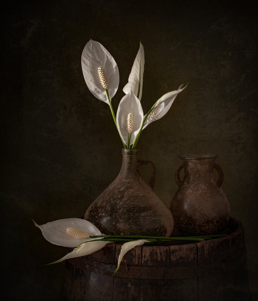 Moody-vredeslelies door Margareth Perfoncio