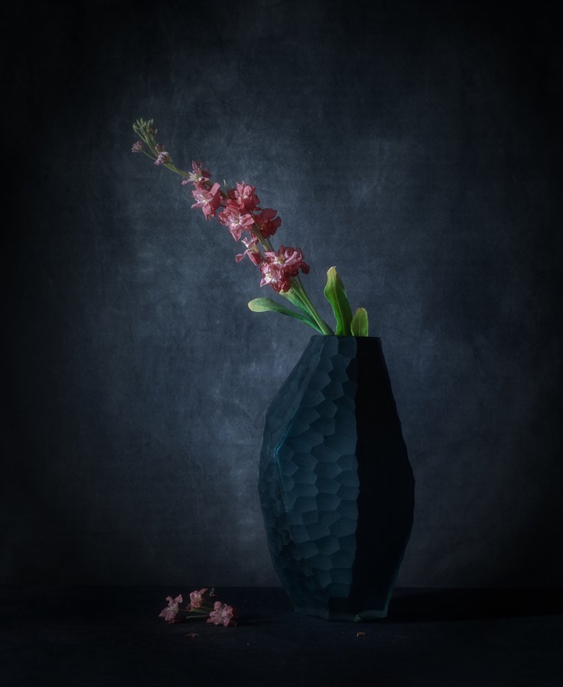 Donkere bloemenelegantie door May G