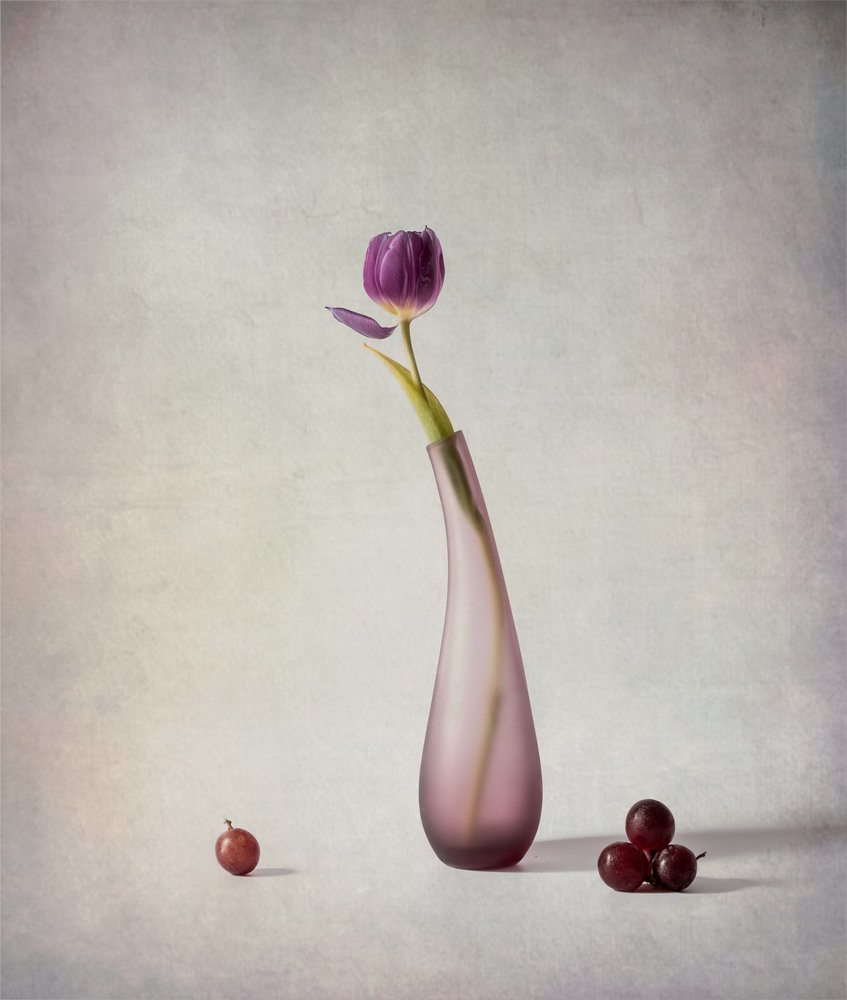 Stilleven met paarse tulpen door May G