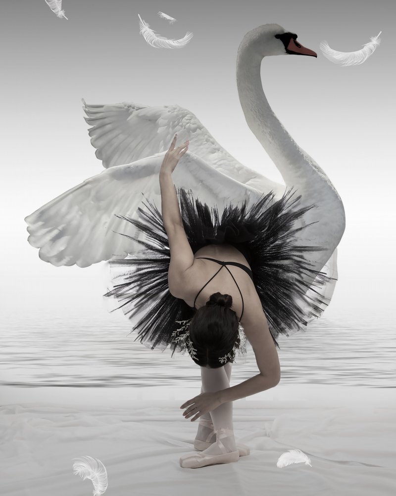 Zwarte Zwaan-ballerina door Mieke
