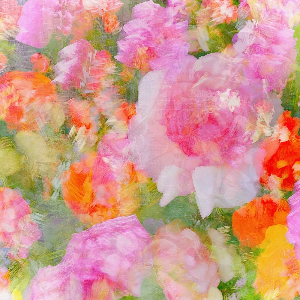  door Molly Fu APA