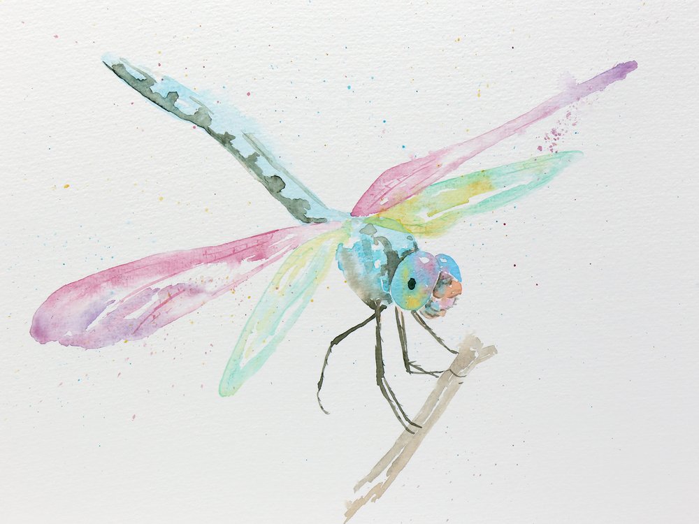 Libellen op een tak in pastelkleuren door Natalie Bruns