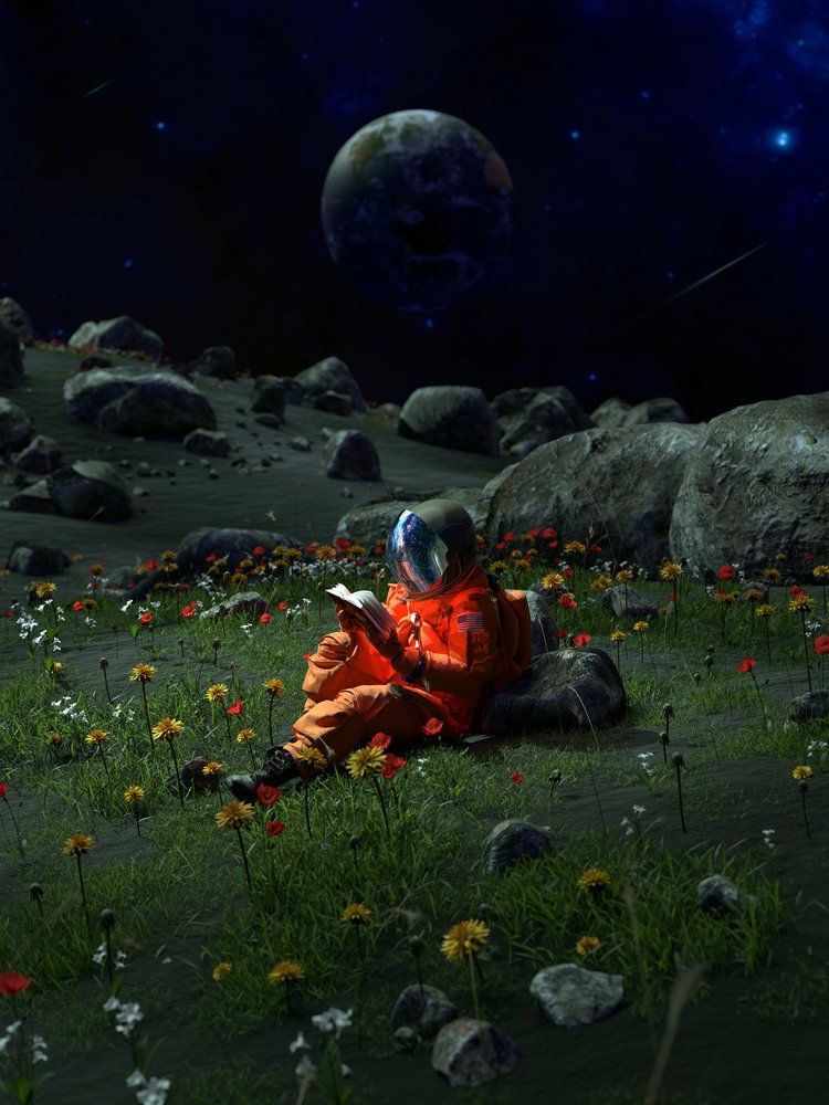 De buitenaardse tuin van de astronaut door Nicebleed