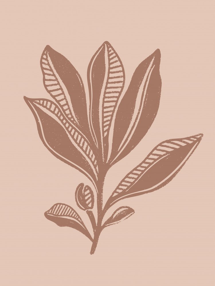 Natuurlijke botanische tekening door Nikita Jariwala
