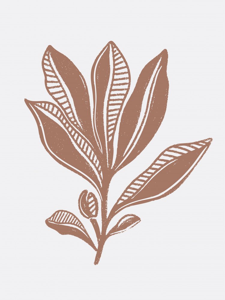 Biologische botanische schets door Nikita Jariwala