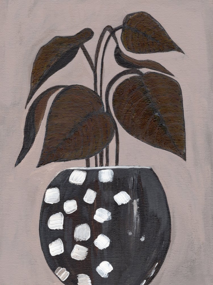 Polka Dot-kamerplant door Nikita Jariwala