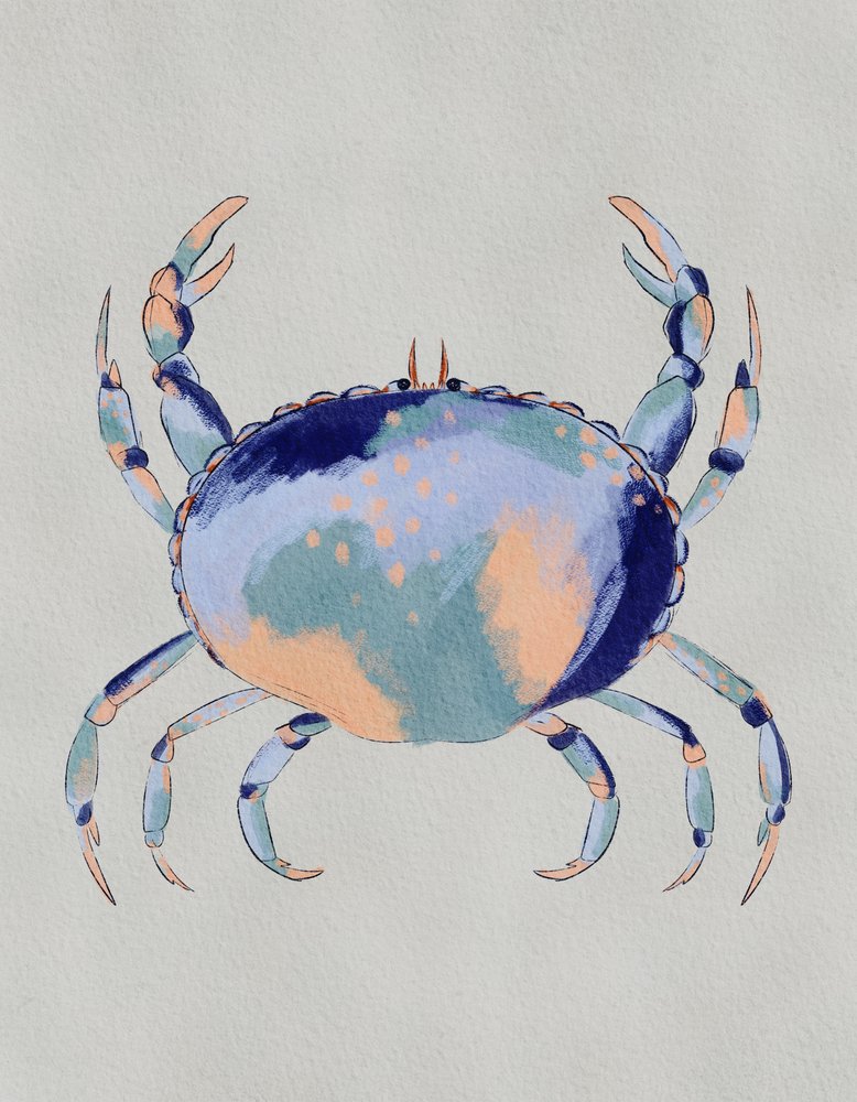 Serene Blauwe Krab door Nikita Jariwala