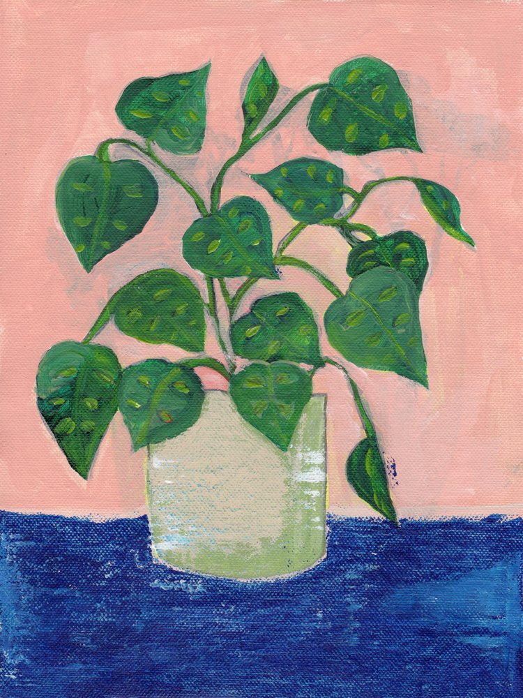 Kleurrijke kamerplant in pot door Nikita Jariwala