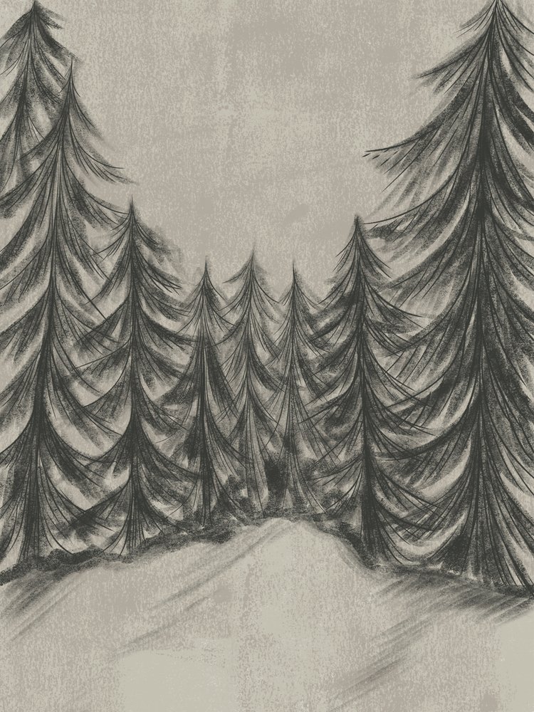 Schets van een winterbos door Nikita Jariwala