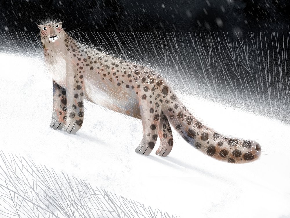 Sneeuwluipaard - Winternacht door Olga Skomorokhova