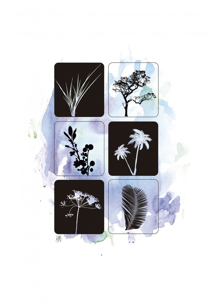 Botanische silhouetten in aquarel door Osvaldo Russo
