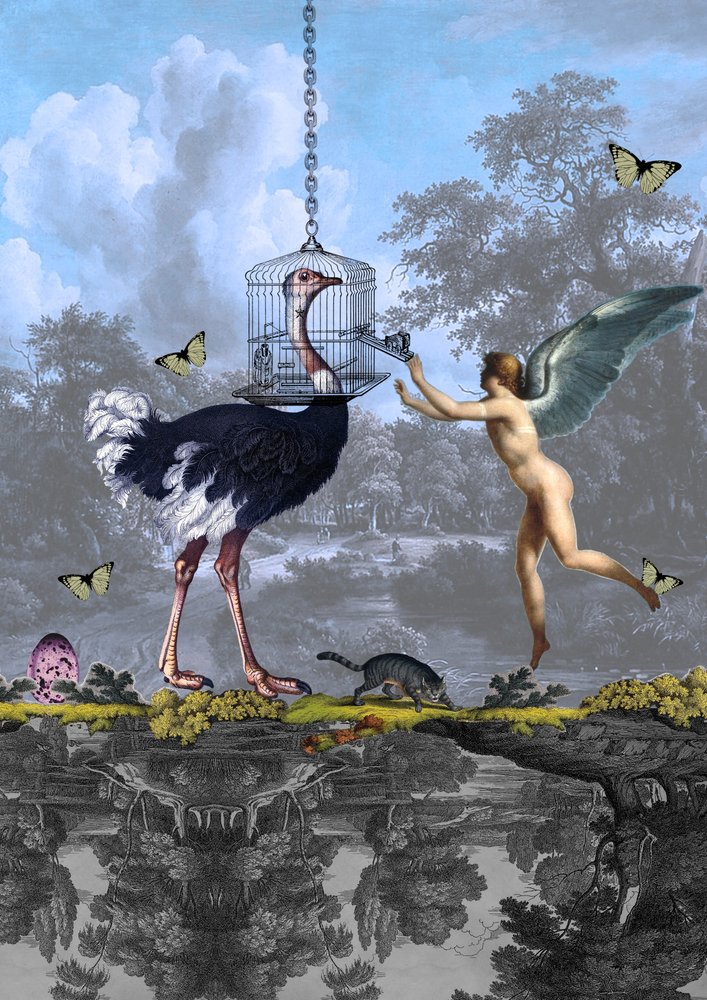 Surrealistische struisvogel-engel-droom door Pascal Bouchet-Spiegel
