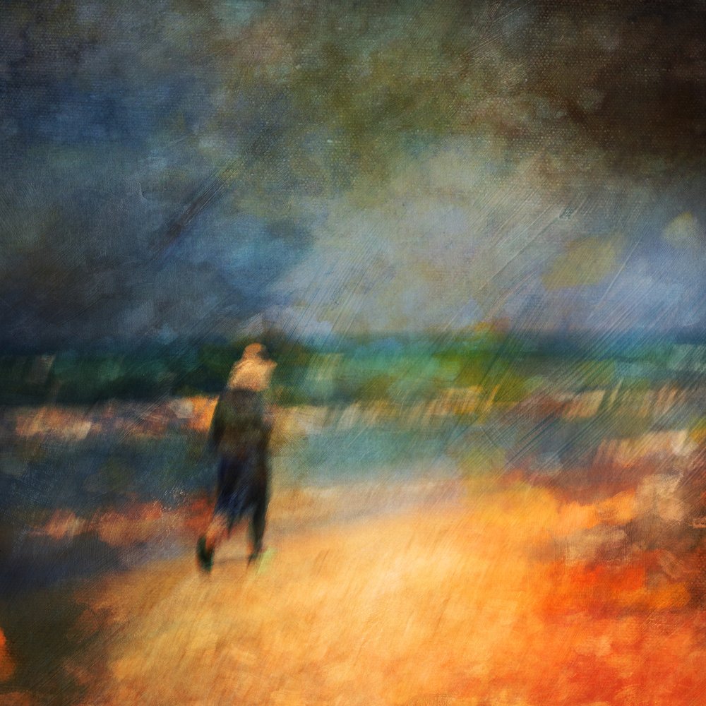 Eenzame strandwandeling door Rachel Pansky