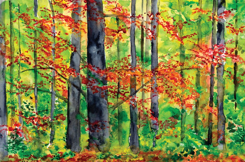  door RodMacIver