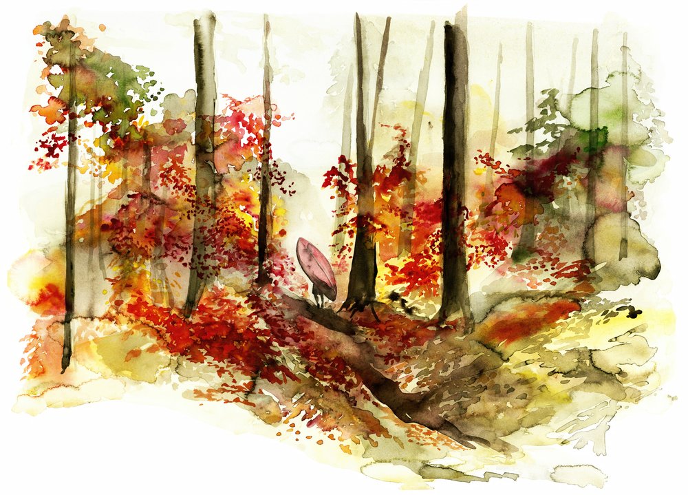 Herfstbos-surfavontuur door RodMacIver
