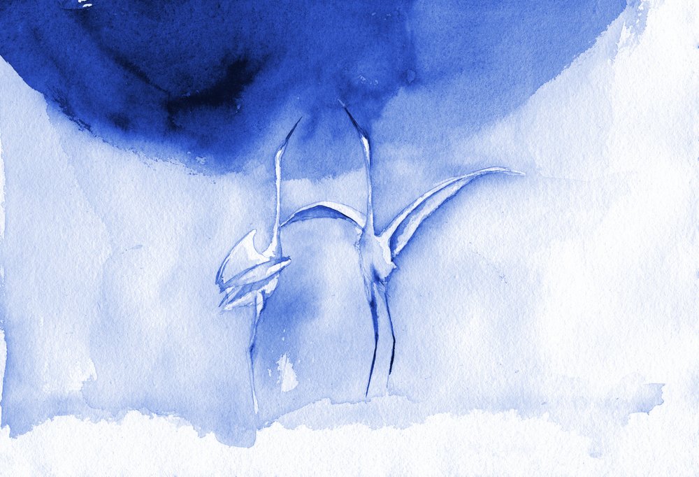 Elegante blauwe kraanvogels door RodMacIver