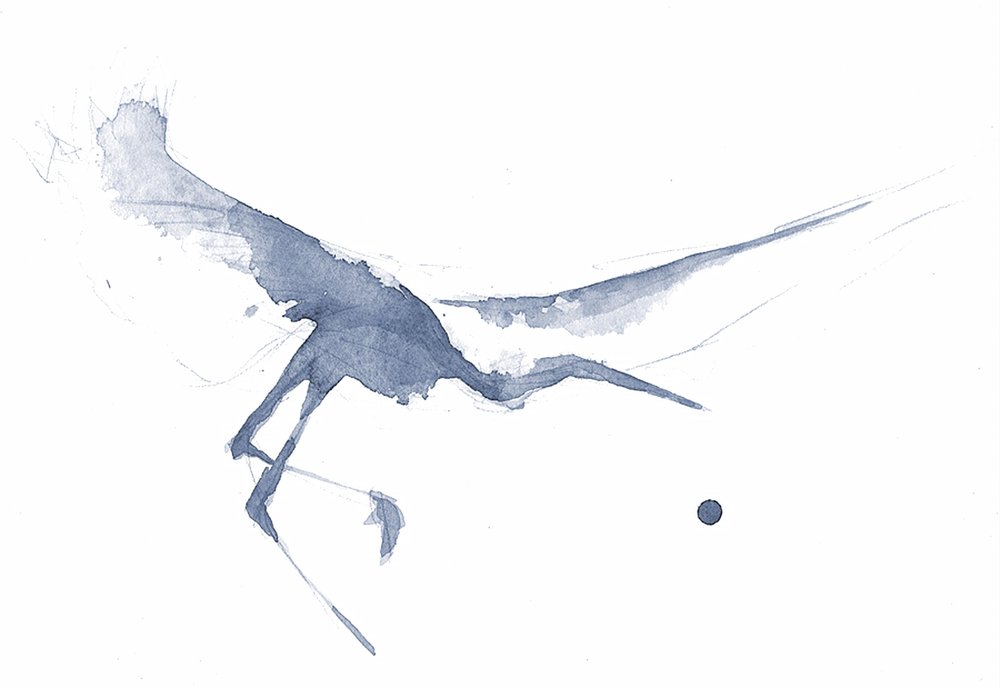 Sierlijke reiger in aquarel door RodMacIver