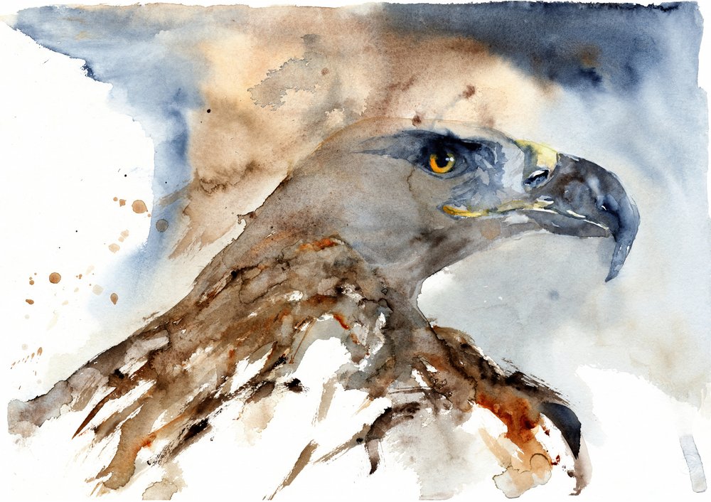 Majestueuze adelaar in aquarel door RodMacIver