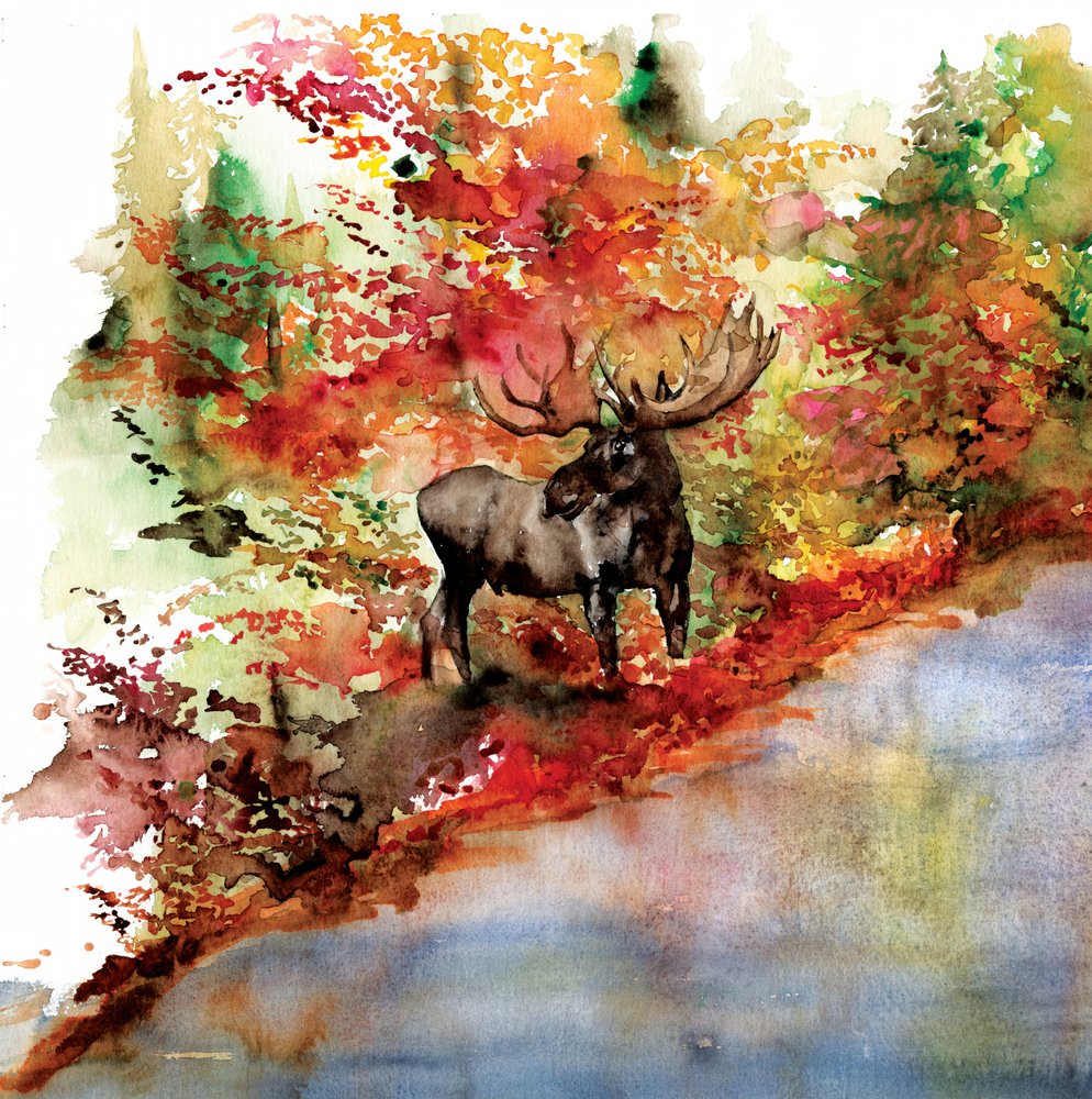 Elanden in de kleurrijke herfst door RodMacIver