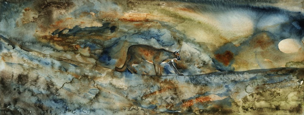 De Mountain Lion-passage door RodMacIver