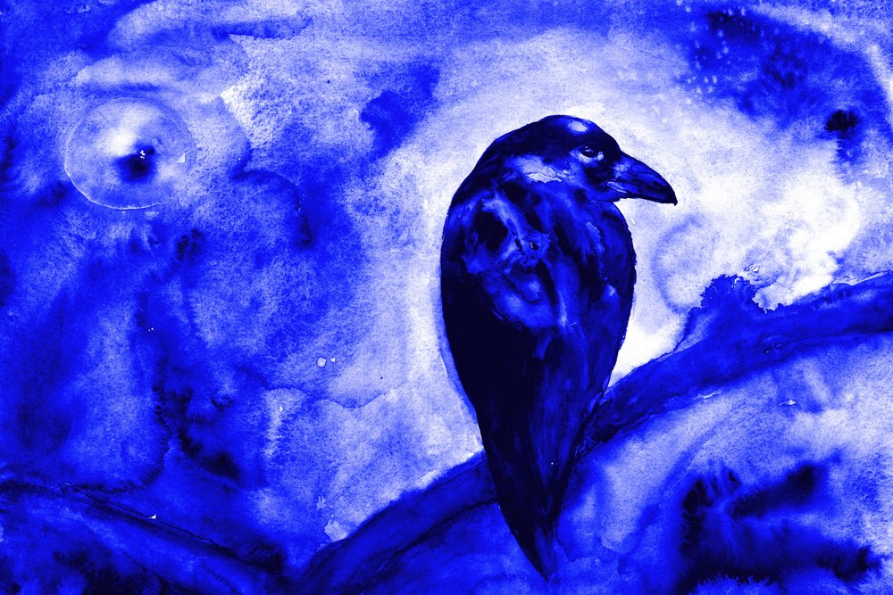 Raven bij maanlicht door RodMacIver