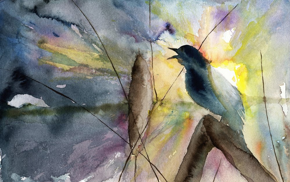 Zingende vogel bij zonsopgang door RodMacIver