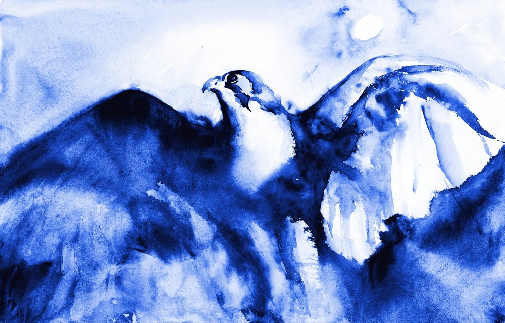 De hoogvliegende blauwe valk door RodMacIver