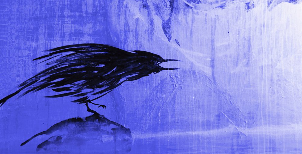 Stormy Blue Raven door RodMacIver