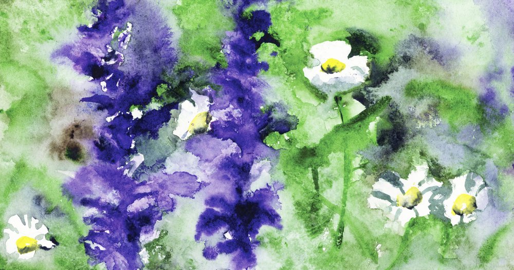 Kleurrijke tuinbloemen door RodMacIver