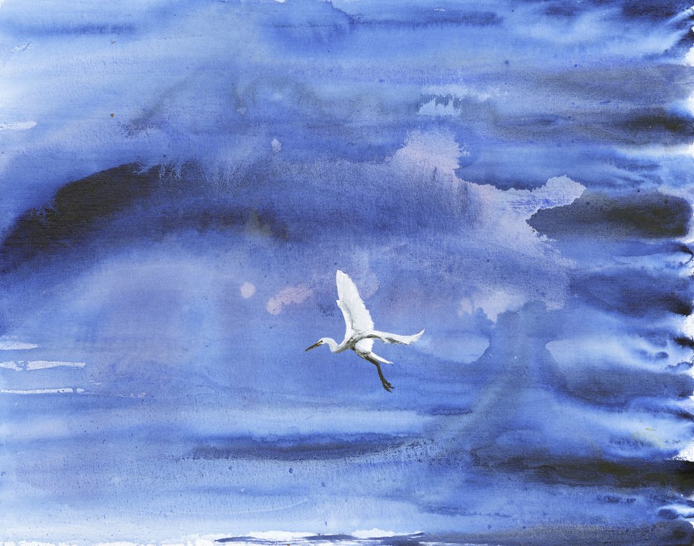 Witte reiger, blauwe lucht door RodMacIver