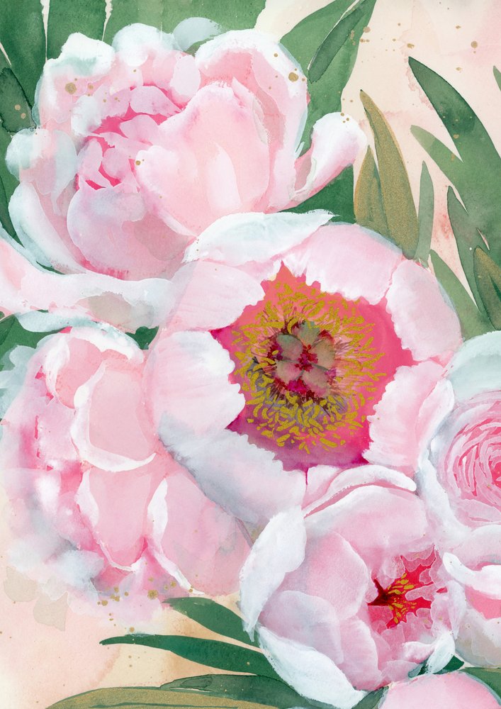 Roze pioenrozen in bloei door Rosana Laiz Blursbyai