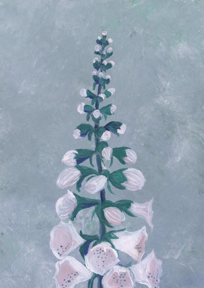 Witte vingerhoedskruidbloem door Rosana Laiz Blursbyai